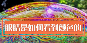 人類是如何看顏色的，影響人眼分辨顏色的因素有哪些?